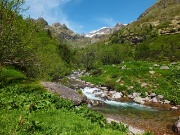 38 Dalle cime ancora innevate il torrente carico d'acqua...